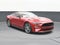 2022 Ford Mustang GT Fastback